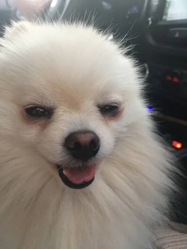 Эмодзи зоррик муд