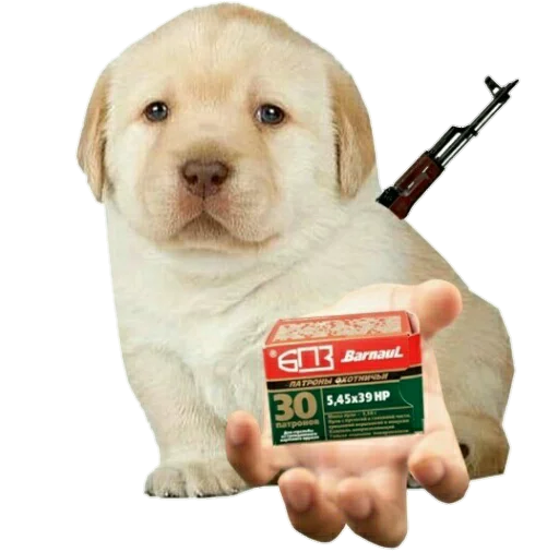 Эмодзи Джамбо и друзья из ЧВК