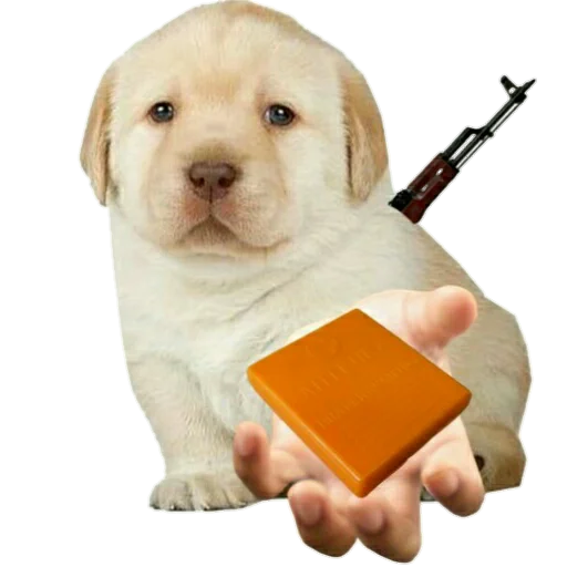 Эмодзи Джамбо и друзья из ЧВК