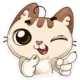 Эмодзи Котик