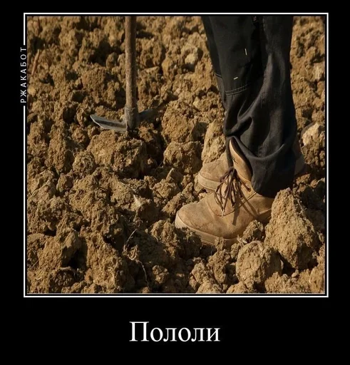 Эмодзи Зайчик 4 эпизод - мемы