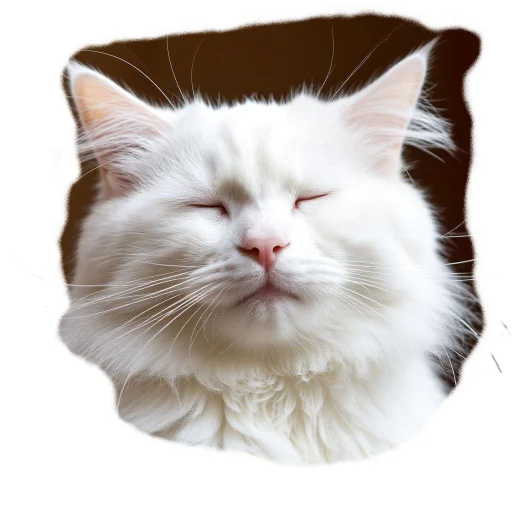 Эмодзи Vasek the Cat