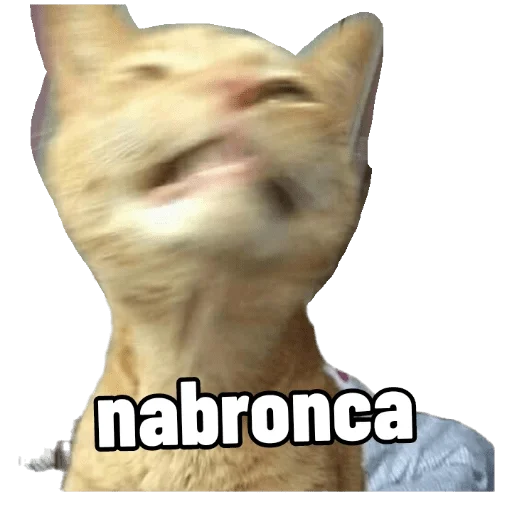 Эмодзи VengoDeWasap