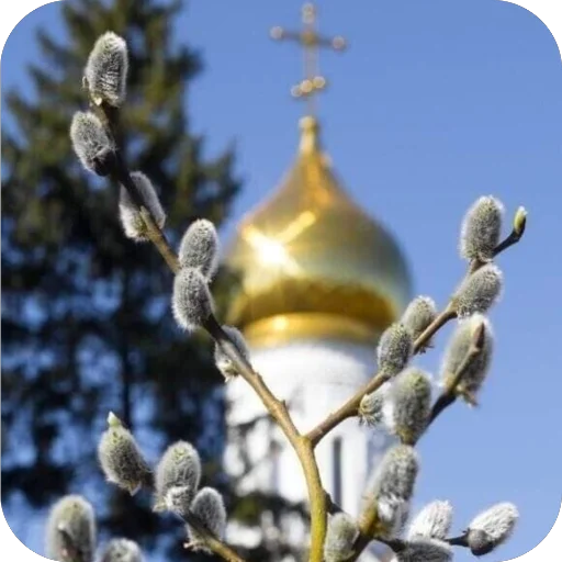 Эмодзи Вербное воскресенье