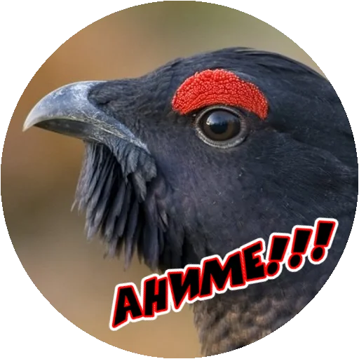 Эмодзи Злые Птицы - part 1