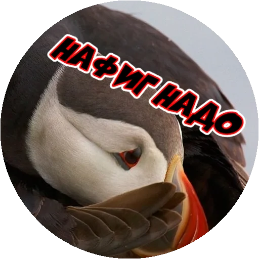 Эмодзи Злые Птицы - part 1