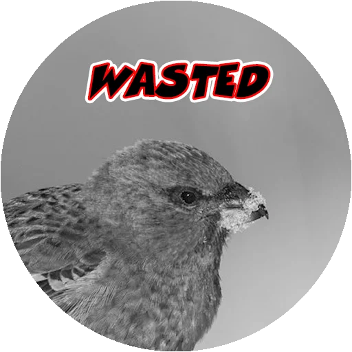 Эмодзи Злые Птицы - part 1