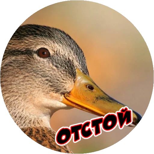 Эмодзи Злые Птицы - part 1