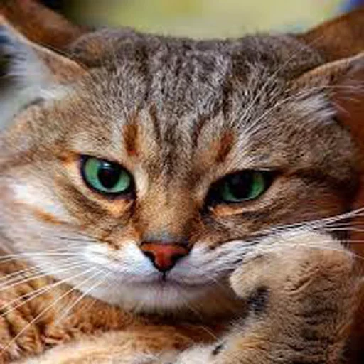 Эмодзи Very strange animals