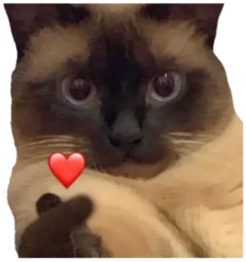 ❤️