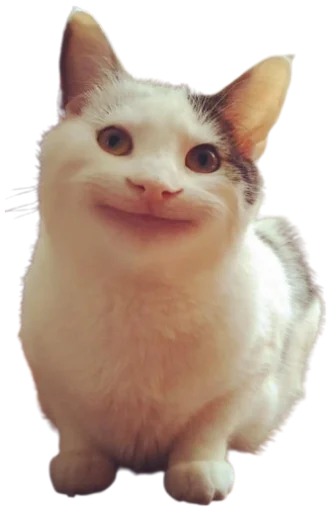 Эмодзи Cat Vibes