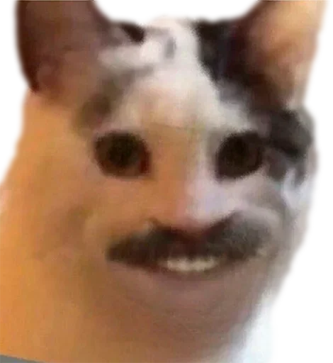 Эмодзи Cat Vibes