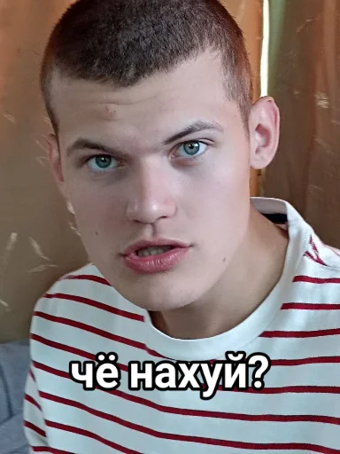 Эмодзи Vini и друзья