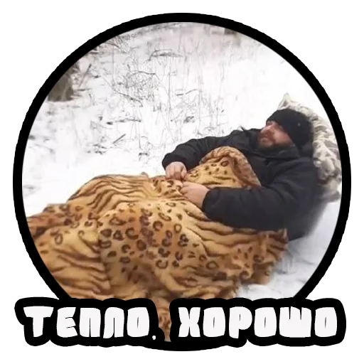 😴