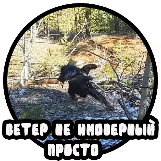 Эмодзи Vizhivalovo