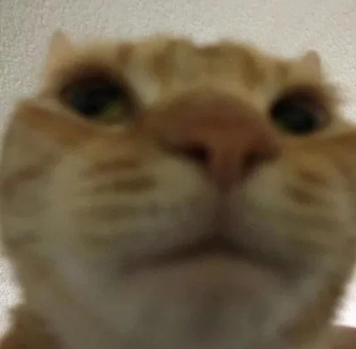 ?