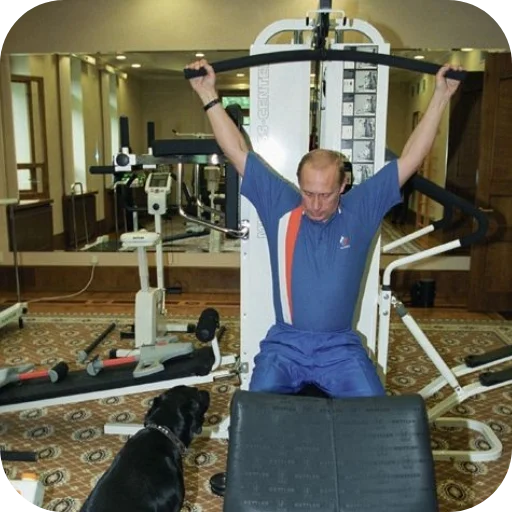 Эмодзи Putin