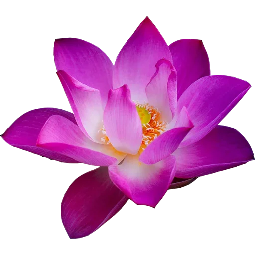 Эмодзи С 8 марта