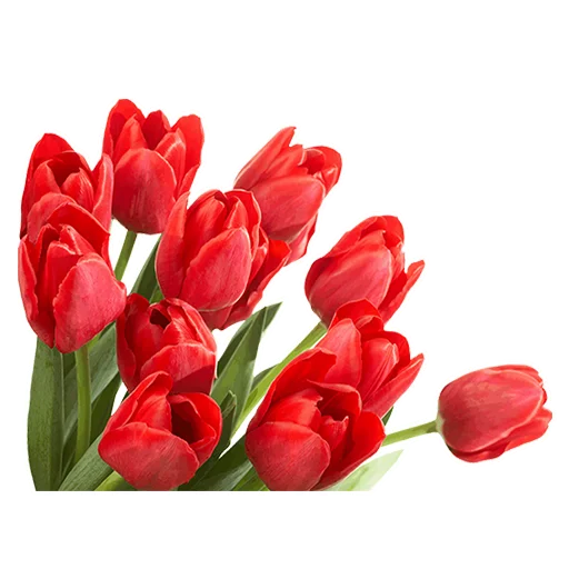 Эмодзи 8 марта