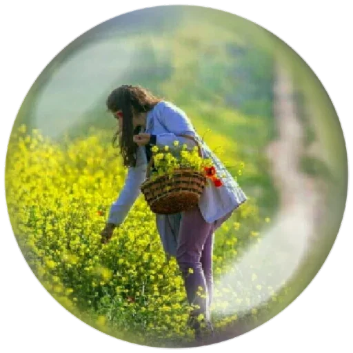 Эмодзи Seasons