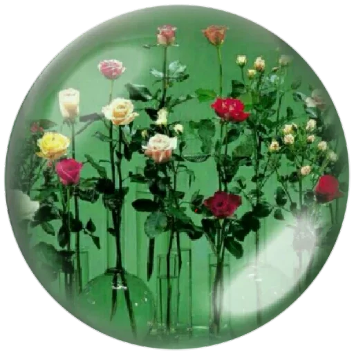 Эмодзи Seasons