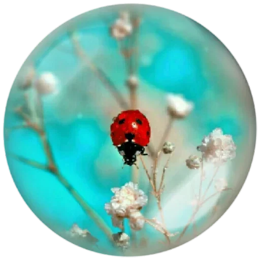 Эмодзи Seasons