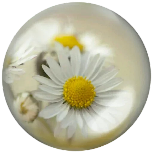 Эмодзи Seasons