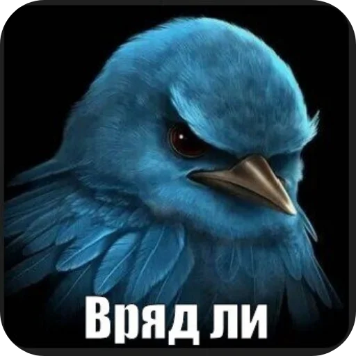 Эмодзи Birds Memes