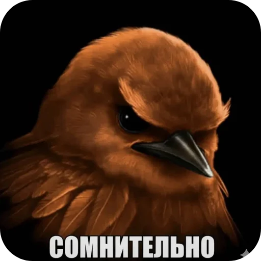 Эмодзи Birds Memes