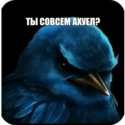 Эмодзи Birds Memes