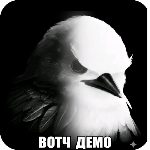 Эмодзи Birds Memes