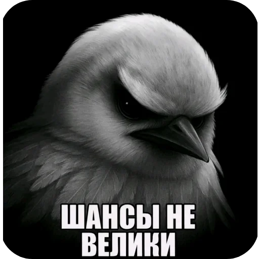 Эмодзи Birds Memes