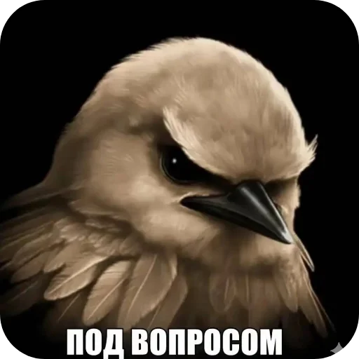 Эмодзи Birds Memes