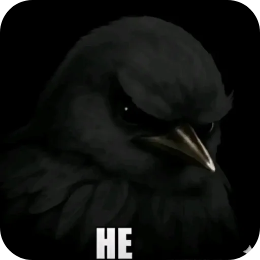 Эмодзи Birds Memes