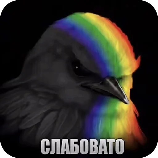 Эмодзи Birds Memes