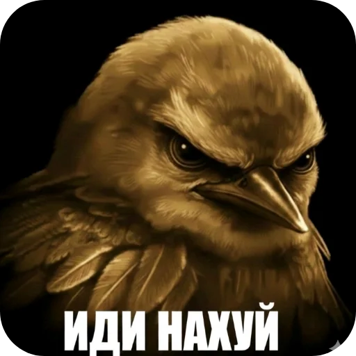 Эмодзи Birds Memes