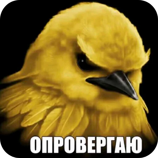 Эмодзи Birds Memes