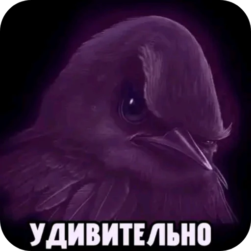 Эмодзи Birds Memes