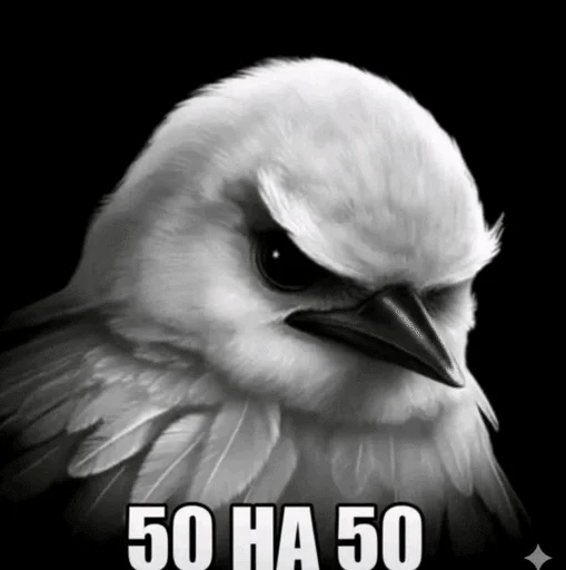 Эмодзи Birds Memes