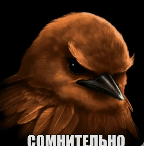 Эмодзи Birds Memes