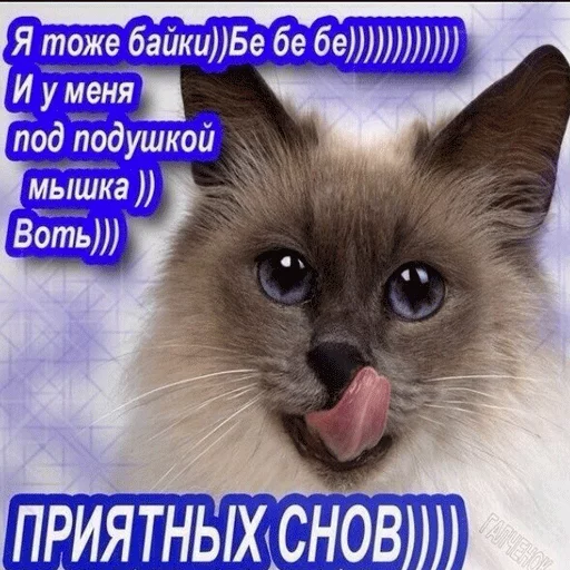 Эмодзи ВсратыеОдноклассники