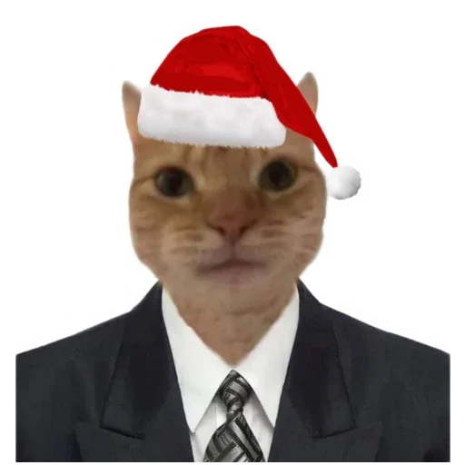 🐱
