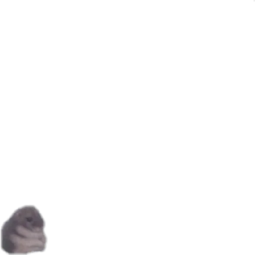 Эмодзи CHIQUITOS