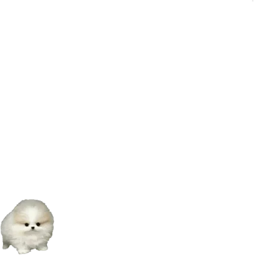 Эмодзи CHIQUITOS