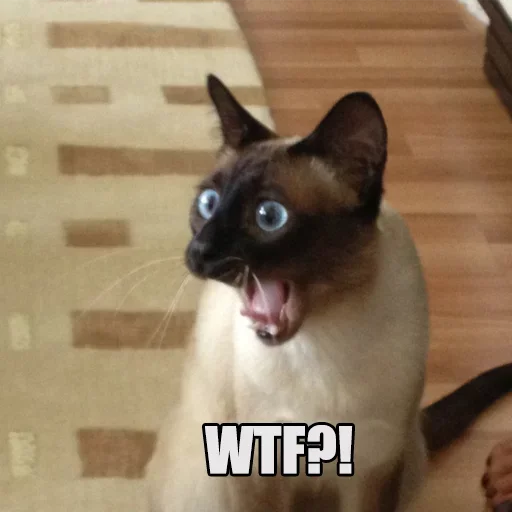 Эмодзи WTF Cats