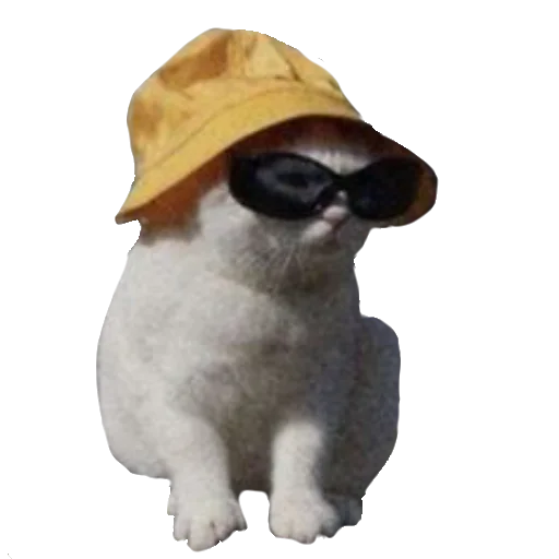 Эмодзи Кошки - Вояки