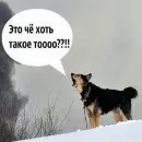 Эмодзи what_a_beautiful_day