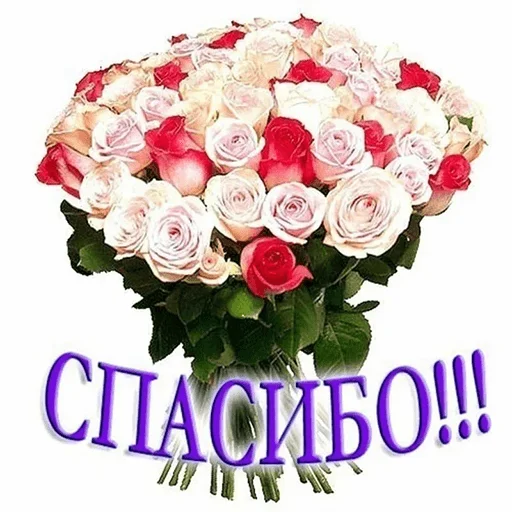 Эмодзи WhatsApp JPG