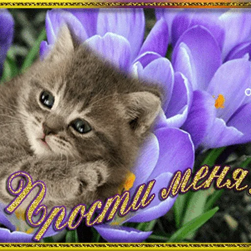 Эмодзи WhatsApp JPG