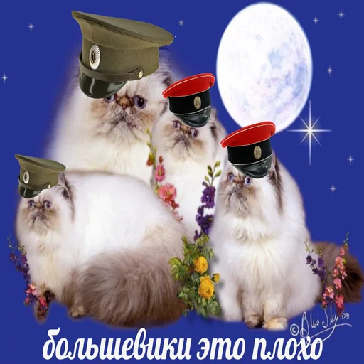 Эмодзи Белый пак